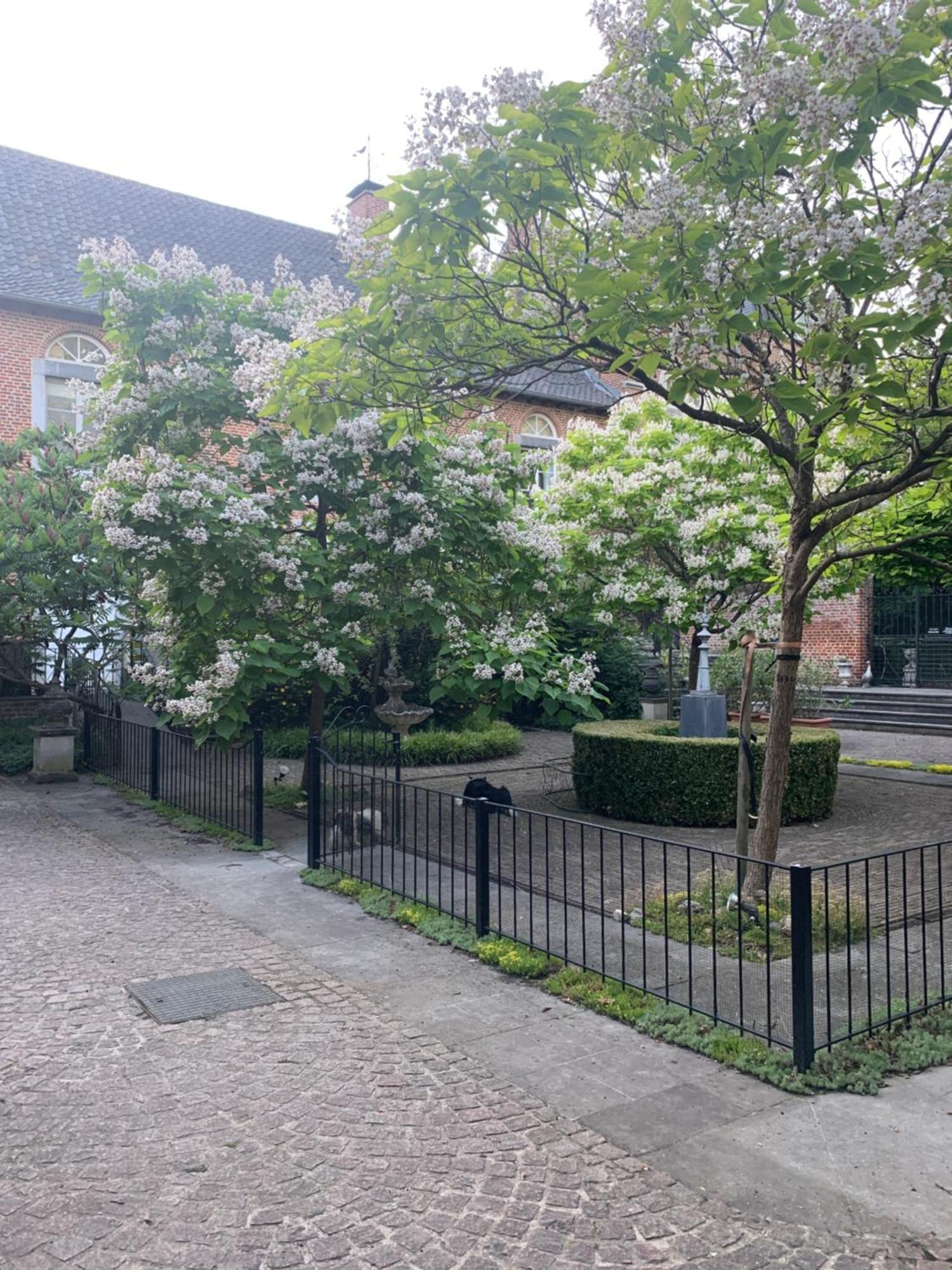 Villa Vakantie Huizen De Heerlijkheid Satenbergh Heers Exterior foto